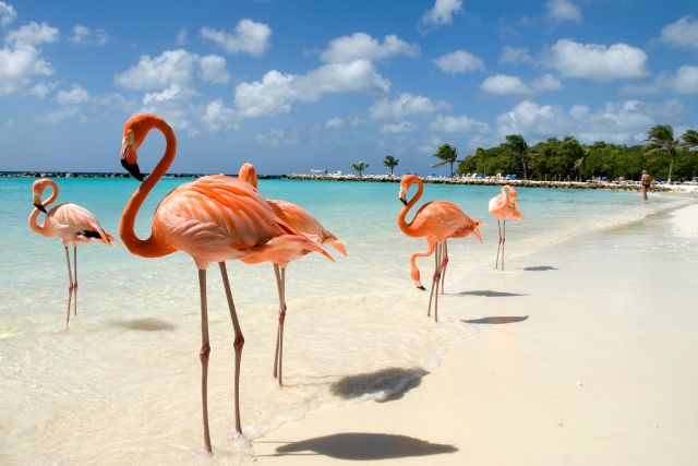 Aruba